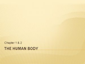 Chapter 1 2 THE HUMAN BODY BODY ORGANIZATION