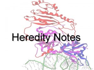 Heredity Notes History Gregor Mendel studied pea plants