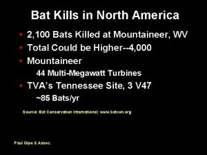 Bat Kills in North America 2 100 Bats