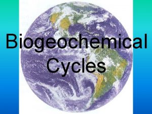 Biogeochemical Cycles Biogeochemical Cycles describe the flow of