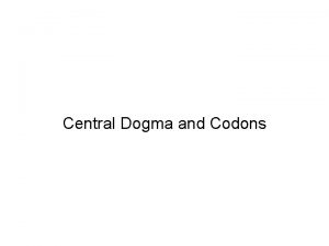 Central Dogma and Codons RNA carries DNAs instructions