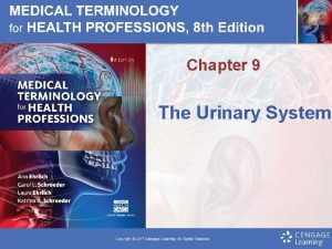 Chapter 9 The Urinary System 2013 Delmar Cengage