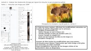 Activit 4 Raliser des traitements dimage par logiciel