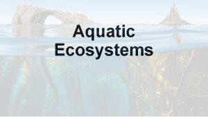 Aquatic Ecosystems Salt Water vs Fresh Water Salt