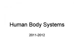 Human Body Systems 2011 2012 Maintaining Homeostasis Homeostasis