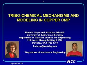 1 TRIBOCHEMICAL MECHANISMS AND MODELING IN COPPER CMP