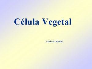Clula Vegetal Estela M Plastino Clula vegetal Unidade