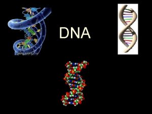 DNA What is DNA DNA stands for D