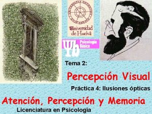 Tema 2 La Percepcin Visual Prctica 4 Ilusiones