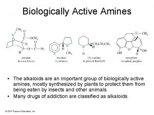 Biologically Active Amines The alkaloids are an important