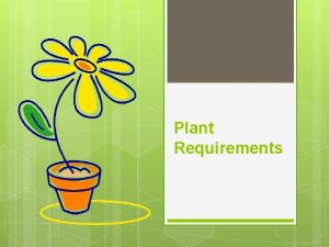 Plant Requirements Plant Needs Photosynthesis Light Air Water