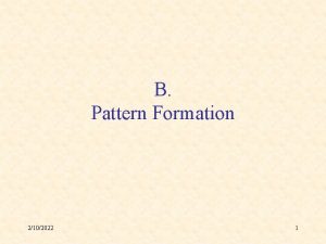 B Pattern Formation 2102022 1 Differentiation Pattern Formation