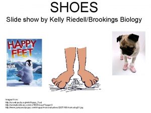 SHOES Slide show by Kelly RiedellBrookings Biology Images