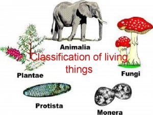 Classification of living things Organism or Not Organism