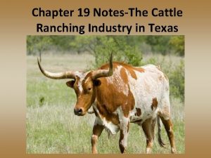 Chapter 19 NotesThe Cattle Ranching Industry in Texas