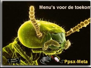 Menus voor de toekom PpsxMeta Iedereen insecten eten