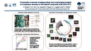 Comparative molecular metabarcoding and morphological analysis of zooplankton