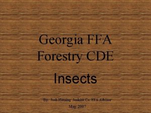 Georgia FFA Forestry CDE Insects By Josh Fleming
