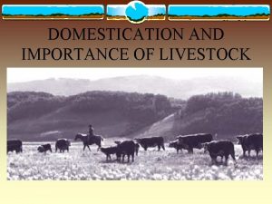 DOMESTICATION AND IMPORTANCE OF LIVESTOCK OBJECTIVES v Define