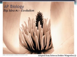 AP Biology Big Idea 1 Evolution Adapted from