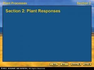 Plant Processes Section 2 Plant Responses Section 2
