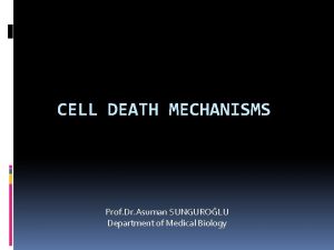 CELL DEATH MECHANISMS Prof Dr Asuman SUNGUROLU Department