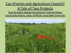 Can Prairies and Agriculture Coexist A Tale of