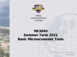 NS 3040 Summer Term 2021 Basic Microeconomic Tools