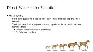 Direct Evidence for Evolution Fossil Record Paleontologists have
