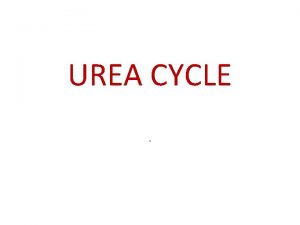 UREA CYCLE MECHANISM OF AMMONIA TOXICITY Ammonia is