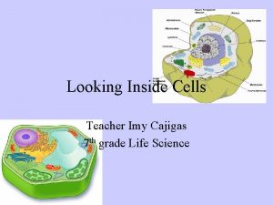 Looking Inside Cells Teacher Imy Cajigas 7 th