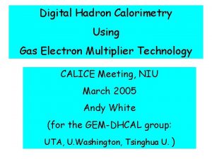 Digital Hadron Calorimetry Using Gas Electron Multiplier Technology