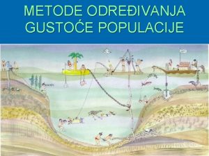 METODE ODREIVANJA GUSTOE POPULACIJE BENTOS MREA ZA KVANTITIVNO