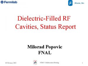 Muons Inc DielectricFilled RF Cavities Status Report Milorad