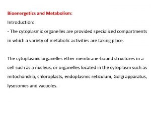 Bioenergetics and Metabolism Introduction The cytoplasmic organelles are