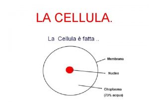 LA CELLULA Cos una cellula Cellula procariote ed