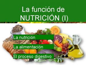 La funcin de NUTRICIN I La nutricin La