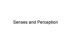 Senses and Perception Senses and perception Senses process