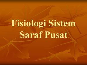 Fisiologi Sistem Saraf Pusat Organisasi Sistem Saraf Figure