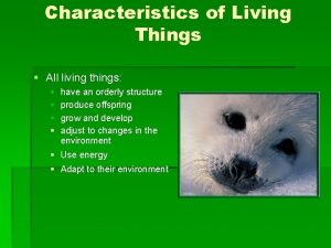 Characteristics of Living Things All living things have