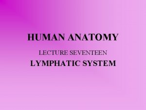 HUMAN ANATOMY LECTURE SEVENTEEN LYMPHATIC SYSTEM LYMPHATIC SYSTEM