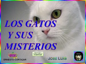 LOS GATOS Y SUS MISTERIOS ERNESTO CORTAZAR JOSE