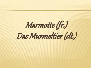 Marmotte fr Das Murmeltier dt DIE AUTOREN DER
