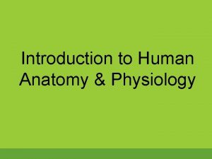 Introduction to Human Anatomy Physiology Anatomy and Physiology