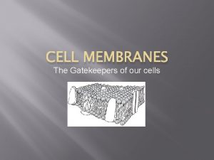 CELL MEMBRANES The Gatekeepers of our cells Key