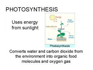 PHOTOSYNTHESIS Uses energy from sunlight Converts water and