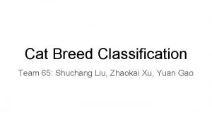 Cat Breed Classification Team 65 Shuchang Liu Zhaokai