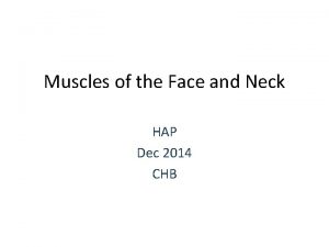Muscles of the Face and Neck HAP Dec
