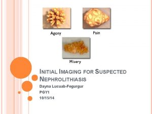 INITIAL IMAGING FOR SUSPECTED NEPHROLITHIASIS Dayna LucuabFegurgur PGY