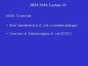 SBM 2044 Lecture 10 AIMS To provide Brief